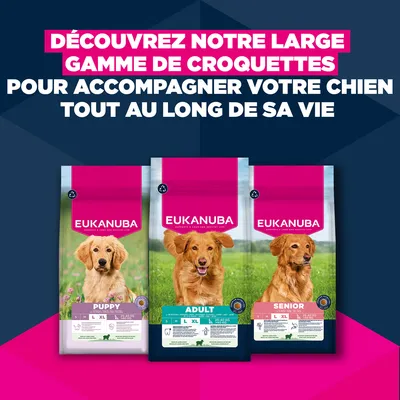 Eukanuba Premium Nutrition Puppy Large et Giant Breed agneau et riz