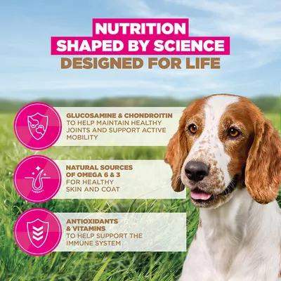 Eukanuba Grain Free Senior Small & Medium tengeri hal