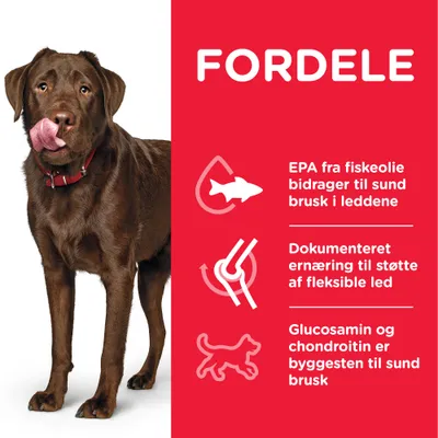 FORDELE: EPA fra fiskeolie bidrager til sund brusk i leddene. Dokumenteret ernæring til støtte af fleksible led. Glucosamin og chondroitin er byggesten til sund brusk.