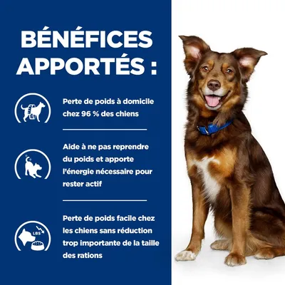 BÉNÉFICES APPORTÉS : Perte de poids à domicile chez 96 % des chiens, aide à ne pas reprendre du poids et apporte l’énergie nécessaire, perte de poids facile sans forte réduction des rations.