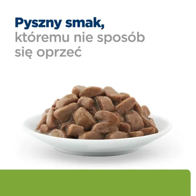 Pyszny smak, któremu nie sposób się oprzeć – widoczne kawałki mokrej karmy na białym talerzu.