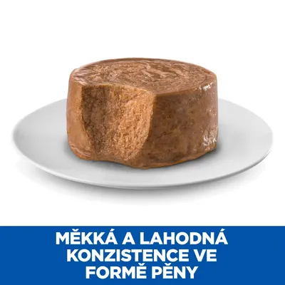 Kousek pěnového krmiva na bílém talíři, text: MĚKKÁ A LAHODNÁ KONZISTENCE VE FORMĚ PĚNY