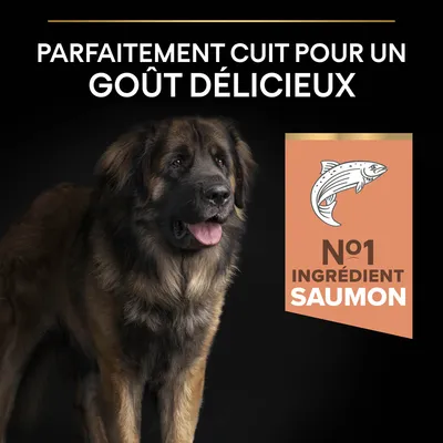 Parfaitement cuit pour un goût délicieux. N°1 ingrédient saumon.