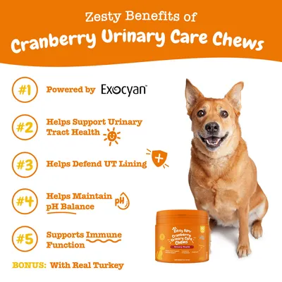 Zesty Benefits of Cranberry Urinary Care Chews: Powered by Exocyan, supports urinary tract health, obrana UT lining, udržiava pH, podpora imunity. Bonus: With Real Turkey. Text v angličtine.