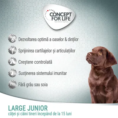 Concept for Life. Dezvoltarea oaselor și dinților, sprijinirea cartilajelor, creștere controlată, susținerea imunității, fără grâu sau soia. Large Junior: căței și câini tineri de la 15 luni.