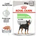 Royal Canin Digestive Care Mousse