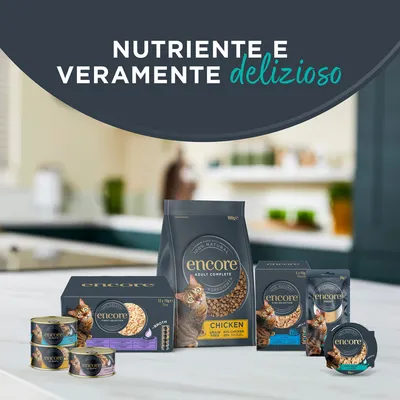 Encore in lattina 16 x 70 g Umido gatto