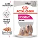 Royal Canin Exigent Mousse