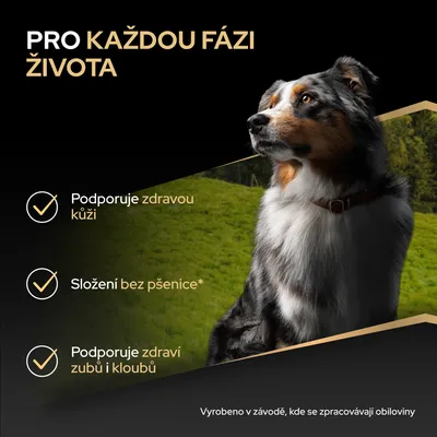 Podporuje zdravou kůži, složení bez pšenice, podporuje zdraví zubů a kloubů. Vyrobeno v závodě, který zpracovává obiloviny. Podporuje zdravou kůži, složení bez pšenice, podporuje zdraví zubů a kloubů. Vyrobeno v závodě, který zpracovává obiloviny.