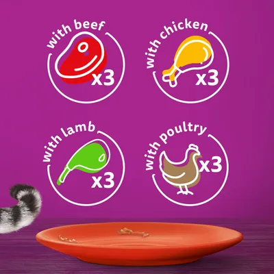 with beef x3, with chicken x3, with lamb x3, with poultry x3 shown above an empty orange plate and part of a cat's tail on purple background