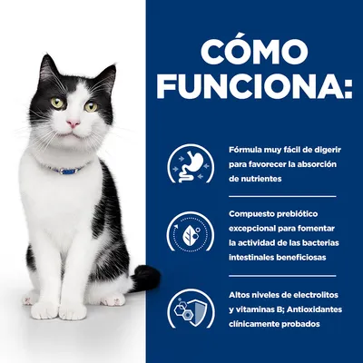 Texto: Cómo funciona. Fórmula muy fácil de digerir para favorecer la absorción de nutrientes. Compuesto prebiótico excepcional para fomentar bacterias intestinales beneficiosas. Altos niveles de electrolitos y vitaminas B; antioxidantes clínicamente probados.