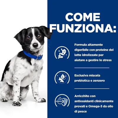 COME FUNZIONA: Formula altamente digeribile con proteine del latte idrolizzate, esclusiva miscela prebiotica e zenzero, arricchito con antiossidanti e Omega-3 da olio di pesce.
