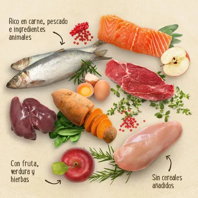 Ingredientes visibles: filete de salmón, pescado entero, carne roja, hígado, pechuga de pollo, huevo, manzana, boniato, espinaca, hierbas. Texto: rico en carne y pescado, sin cereales añadidos.
