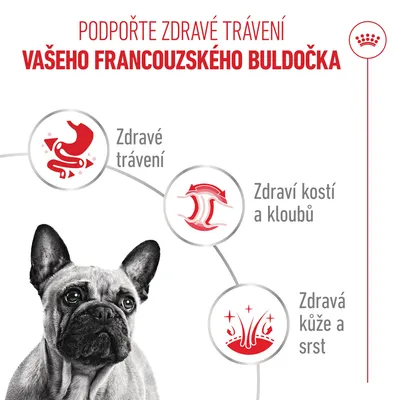 Royal Canin Francouzský buldoček paštika
