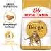Royal Canin Bengal Adult
