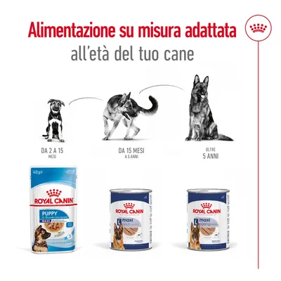 Royal Canin Puppy Maxi 2–15 mesi, Maxi Adult 15 mesi–5 anni, Maxi Ageing oltre 5 anni. Alimentazione su misura adattata all’età del cane con immagini di cani e confezioni visibili.