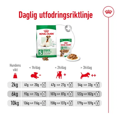 Daglig utfodringsriktlinje för Royal Canin Mini Adult: tabell med mängder för 2 kg, 6 kg och 10 kg hundar beroende på aktivitetsnivå, både torr- och våtfoder visas.