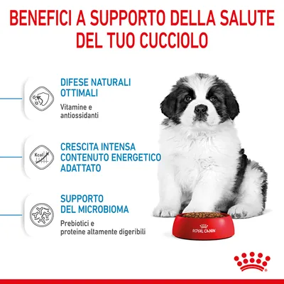 Benefici a supporto della salute del cucciolo: difese naturali ottimali, crescita intensa, supporto del microbioma. Royal Canin. Vitamine, antiossidanti, prebiotici, proteine digeribili.