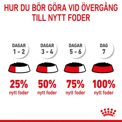 Royal Canin Kitten i gelé