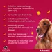 Advantix® 100 Spot-on für Hunde, von 4 bis 10 kg