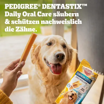 PEDIGREE® DENTASTIX™ Daily Oral Care säubern und schützen nachweislich die Zähne. Verpackung und Hund mit Dentastix im Hintergrund sichtbar.