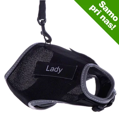 Trixie mačja oprtnica XCat XL z nalepko in povodcem