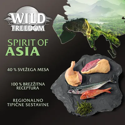 Wild Freedom Spirit of Asia, 40 % svežega mesa, 100 % brezžitna receptura, regionalno tipične sestavine. Prikaz surovega mesa, ribe in rastlinskih sestavin na kamniti plošči.