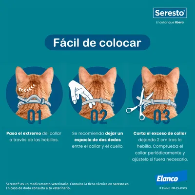 Instrucciones para colocar el collar Seresto en gatos: pasar el extremo por las hebillas, dejar espacio de dos dedos entre collar y cuello, cortar el exceso dejando 2 cm tras la hebilla.