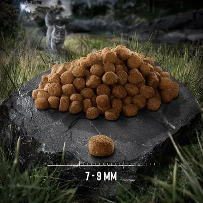 Haufen brauner Kroketten auf Stein, Größe 7-9 mm sichtbar. Hintergrund zeigt eine Katze in einer natürlichen Umgebung.