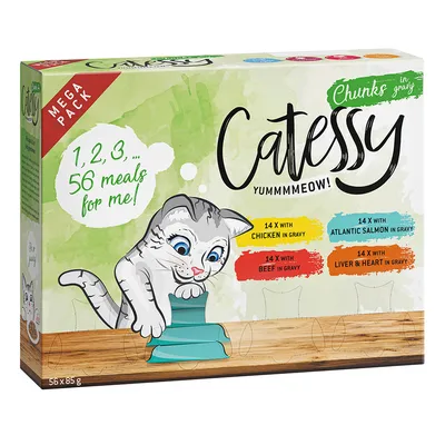 Catessy Mega Pack, 56 posiłków: 14x kurczak w sosie, 14x łosoś atlantycki w sosie, 14x wołowina w sosie, 14x wątroba i serce w sosie. Opakowanie z motywem kota.