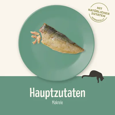 Hauptzutat Makrele. Mit natürlichen Zutaten hergestellt.