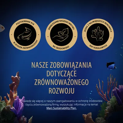 Pozyskiwanie ryb w sposób zrównoważony, zmniejszanie naszego wpływu na środowisko, jedna z największych renowacji raf koralowych. Nasze zobowiązania dotyczące zrównoważonego rozwoju.