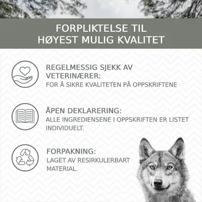 Wolf of Wilderness Adult 6 x 800 g - Single Protein