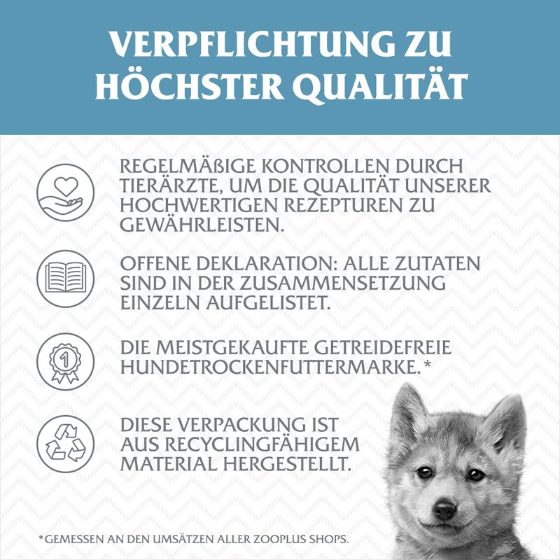Wolf of Wilderness Junior - "Blue River" - Lachs