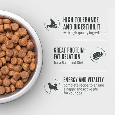 Dry food in bowl. Features: high tolerability and digestibility, good protein-fat ratio for balanced nutrition, energy and vitality for active dogs.