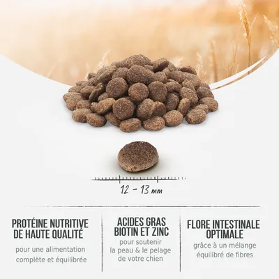 Croquettes rondes, diamètre 12–13 mm. Texte visible : Protéine nutritive de haute qualité, acides gras biotine et zinc, flore intestinale optimale. Informations sur bienfaits nutritionnels.