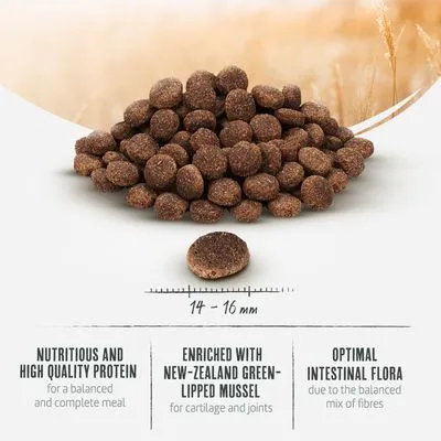 Briantos Adult Maxi Hondenvoer