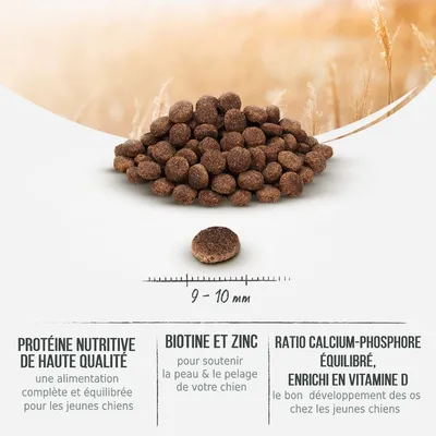 Croquettes rondes, diamètre 9–10 mm. Texte visible : Protéine nutritive de haute qualité, Biotine et zinc, Ratio calcium-phosphore équilibré enrichi en vitamine D pour jeunes chiens.