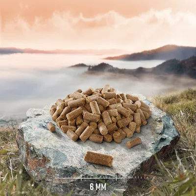 Pellets mit einer Grösse von 6 mm, dargestellt auf einem Stein in natürlicher Umgebung.