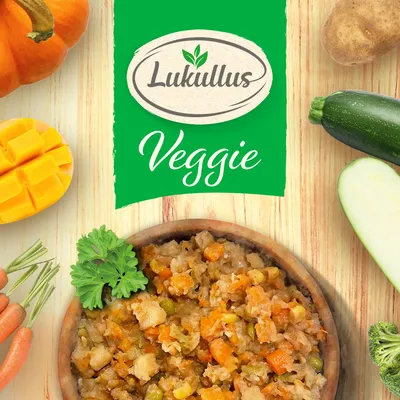 Lukullus Veggie. Gemüsegericht mit Karotten, Zucchini, Kürbis, Kartoffeln und Mango-Stückchen in einer Schale.