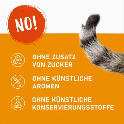 Produktmerkmale: Ohne Zusatz von Zucker, ohne künstliche Aromen, ohne künstliche Konservierungsstoffe. Hinweis 'NO!' in rotem Kreis und Katzenpfote sichtbar.