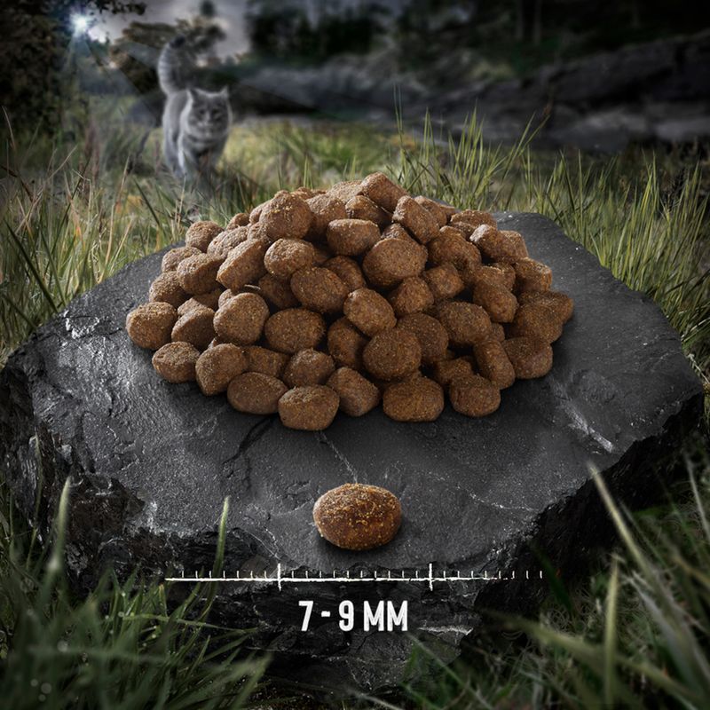 Wild Freedom Adult "Wide Country" Sterilised - Fjerkræ