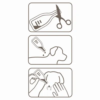 Istruzioni per l’uso di una pipetta: tagliare la punta, applicare le gocce sul dorso del cane, distribuire il liquido con la mano.