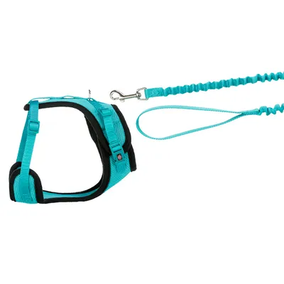 Turquoise harness with matching lead, adjustable straps and safety clasp. Metal hook for attachment visible.