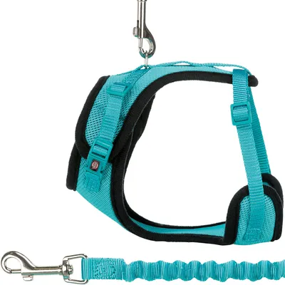 Turquoise harness with adjustable straps and padded edges, including elastic lead with metal carabiner.