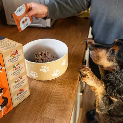 Person serving wet food from a pouch into a bowl on a kitchen counter, with a dog watching. Product box shows flavours: chicken with beef, duck, tuna, and salmon.