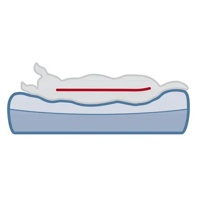 Illustration eines Hundes, der auf einem orthopädischen Bett liegt. Rote Linie zeigt ergonomische Unterstützung entlang der Wirbelsäule.