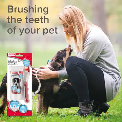 beaphar Zahnpflege Set für Welpen Puppy Dental Kit tandplejesæt til hvalpe, synlig tandbørste og tandpasta. Tekst: Brushing the teeth of your pet.