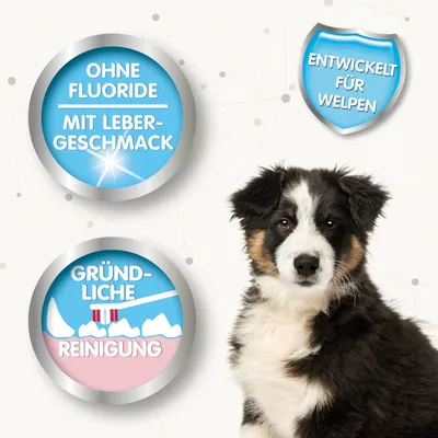 Bez fluoridů, s játrovou příchutí. Důkladné čištění. Vyvinuto pro štěňata.