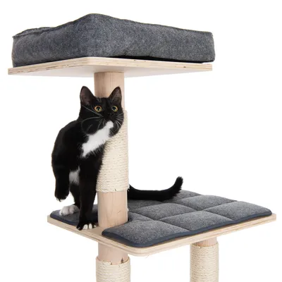 Kratzbaum mit zwei gepolsterten Liegeflächen in Grau und Sisal umwickelten Säulen. Schwarze Katze steht auf unterer Ebene und lehnt sich an die Säule.